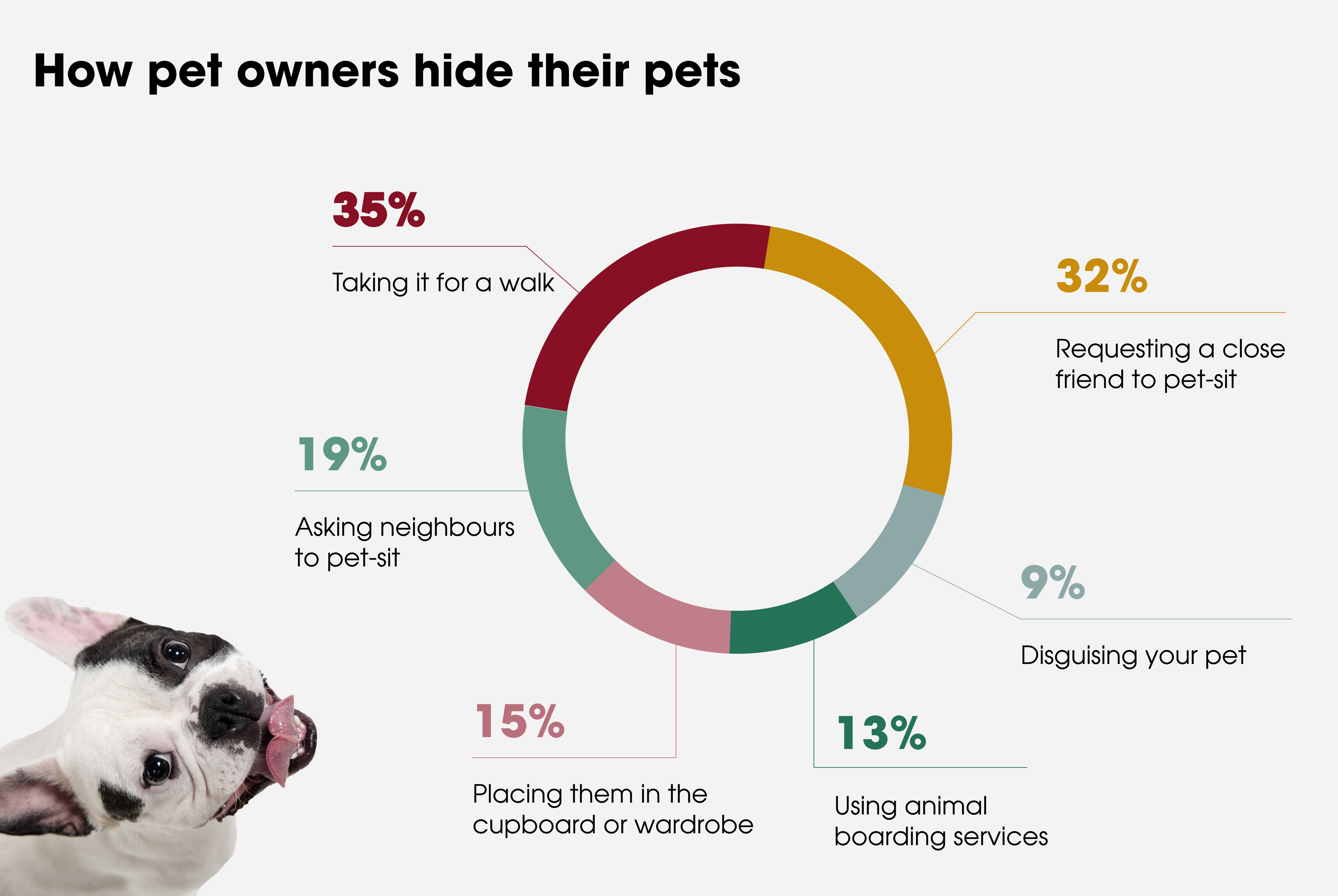 The Secret Life of Pets Why More Renters Than You Think Are Hiding